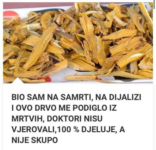 BIO SAM NA SAMRTI,NA DIJALIZI,I OVO DRVO ME PODIGLO IZ MRTVIH,DOKTORI NISU VJEROVALI,100 % DJELUJE,A NIJE SKUPO