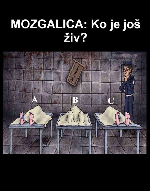 MOZGALICA: Ko je još živ?