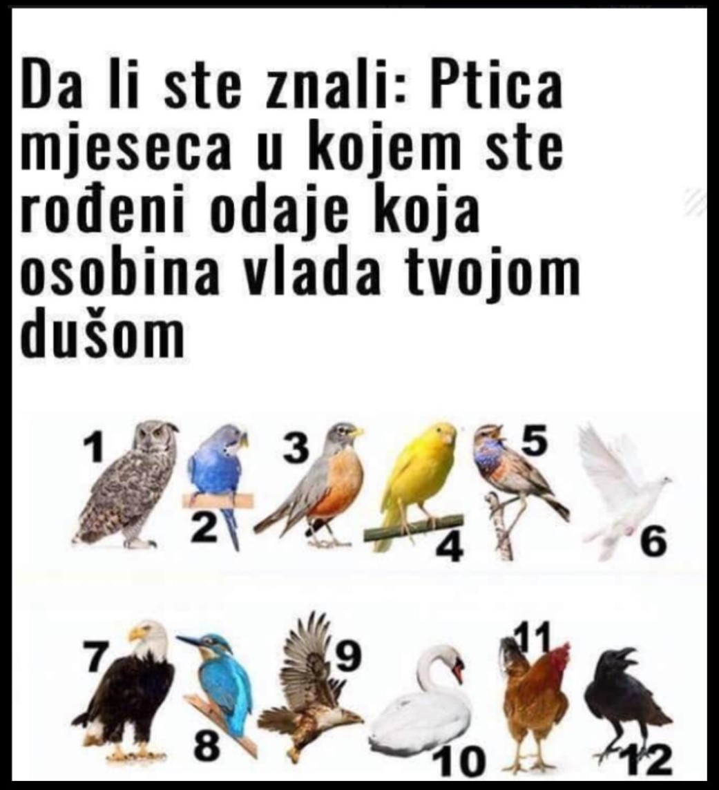 PTICA MJESECA U KOJEM STE ROĐENI OTKRIVA NEŠTO BITNO O VAMA: Izaberite broj i otkrijte KAKVI STE ZAISTA U DUŠI!