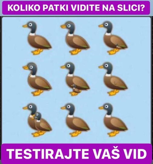 Koliko je patki na slici? Kako riješiti najnoviju zagonetku društvenih medija