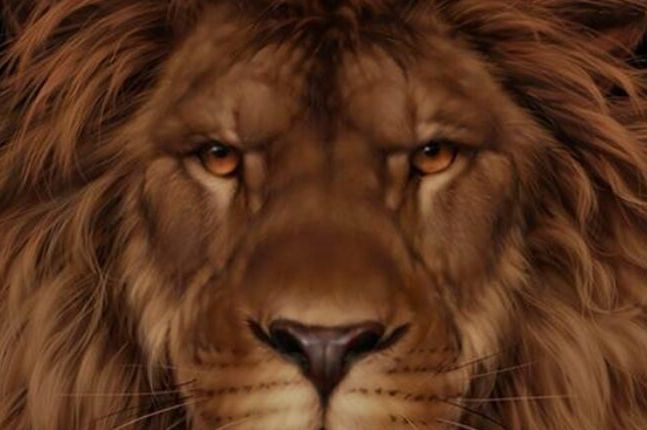 Svako vidi veličanstvenog lava, ali samo oni sa visokim IQ mogu da uoče drugu životinju za 9 sekundi