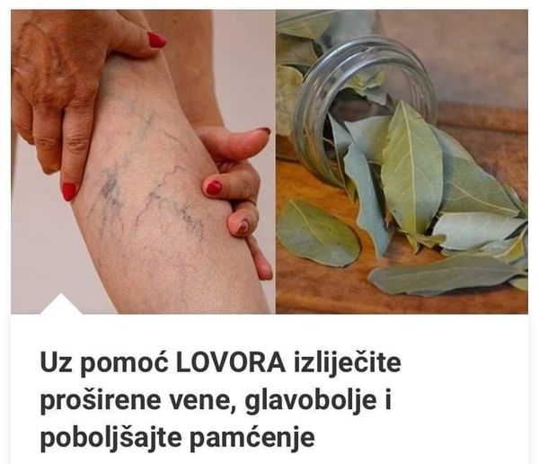 Uz pomoć LOVORA izliječite proširene vene, glavobolje i poboljšajte pamćenje