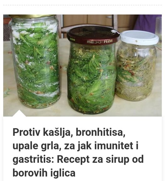 SIRUP OD BOROVIH IGLICA PROTIV KASLJA, BRONHITISA, UPALE GRLA ZA JAK IMUNITET