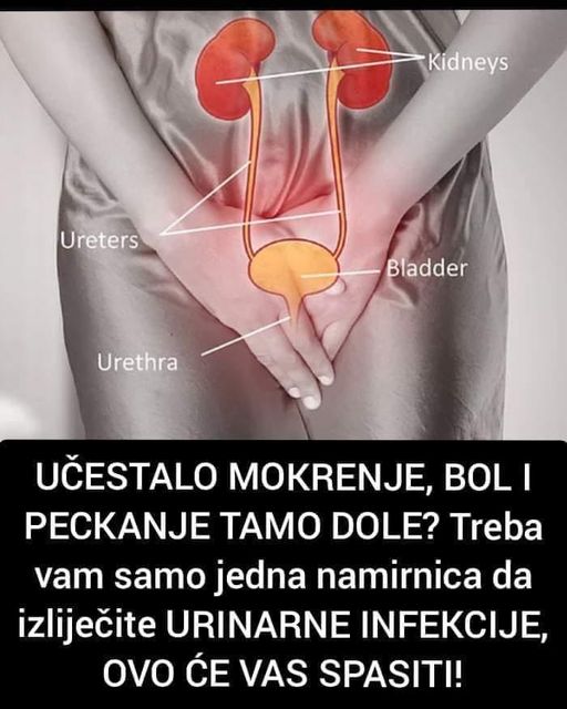 UČESTALO MOKRENJE, BOL I PECKANJE TAMO DOLE? Treba vam samo jedna namirnica da izliječite URINARNE INFEKCIJE, OVO ĆE VAS SPASITI!