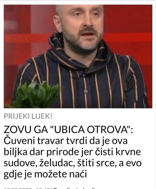 ZOVU GA “UBICA OTROVA”: Čuveni travar tvrdi da je ova biljka dar prirode jer čisti krvne sudove, želudac, štiti srce, a evo gdje je možete naći