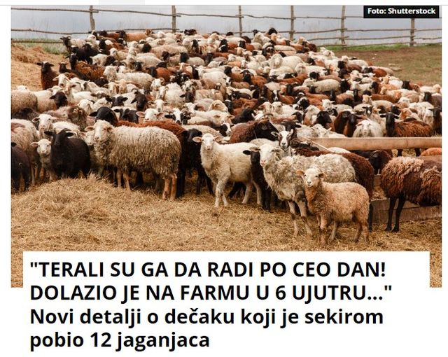 “TERALI SU GA DA RADI PO CEO DAN! DOLAZIO JE NA FARMU U 6 UJUTRU…” Novi detalji o dečaku koji je sekirom pobio 12 jaganjaca