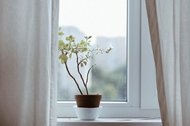 Često se pranje prozora čini kao beskonačna priča. Čišćenje ih samo jednom nije dovoljno da zadrže sjaj, jer se brzo ponovo zaprljaju. Međutim, na portalu Recepti i Zdravlje, autorka je podijelila genijalan trik koji olakšava pranje prozora i čini ih čistim duže vrijeme. Tajna leži u kućnom proizvodu za čišćenje koji je efikasniji od mnogih kupovnih proizvoda.  Evo šta vam je potrebno:  Nekoliko kapi omekšivača 1/2 šolje tople vode 1 kašika glicerina Krpa za pranje i suha krpa Postupak je sledeći:  Pomiješajte omekšivač, glicerin i vodu dok se sve dobro ne sjedini. Ostavite mješavinu da odstoji 15 minuta, redovno miješajući. U međuvremenu, operite prozore toplom vodom i obrišite ih suvom krpom. Zatim, nanesite pripremljenu smjesu na prozore koristeći sunđer. Koristite je za pranje prozora sa obe strane – iznutra i spolja. Na kraju, obrišite prozore krpom. Vaši prozori će biti savršeno čisti i blistavi, bez ijednog traga.  Kada se osuše, ovo sredstvo će stvoriti zaštitni sloj na staklu koji će spriječiti nakupljanje prašine i prljavštine, te neće ostavljati tragove kiše na prozorima.