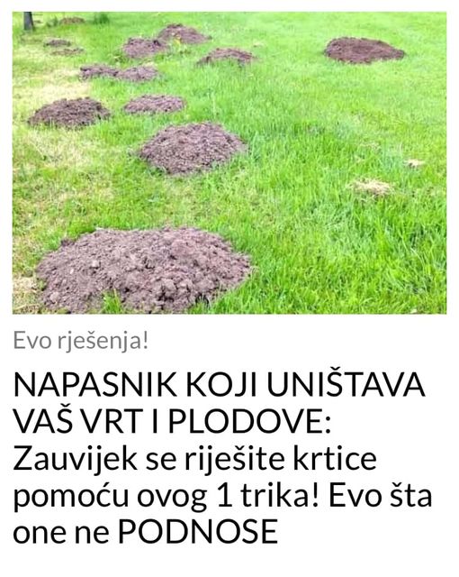 NAPASNIK KOJI UNIŠTAVA VAŠ VRT I PLODOVE: Zauvijek se riješite krtice pomoću ovog jednostavnog trika! Evo šta one ne PODNOSE