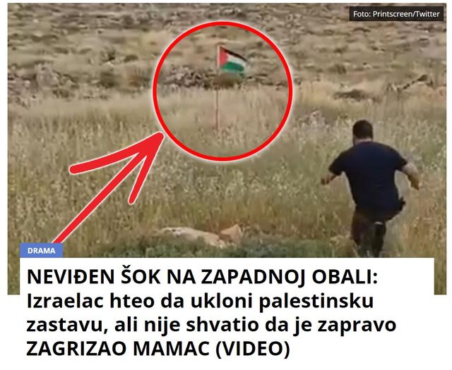 NEVIĐEN ŠOK NA ZAPADNOJ OBALI: Izraelac hteo da ukloni palestinsku zastavu, ali nije shvatio da je zapravo ZAGRIZAO MAMAC (VIDEO)