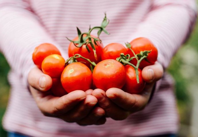 “Ako paradajz držite u frižideru, činite veliku grešku”: EVO KAKO GA JE NAJBOLJE ČUVATI