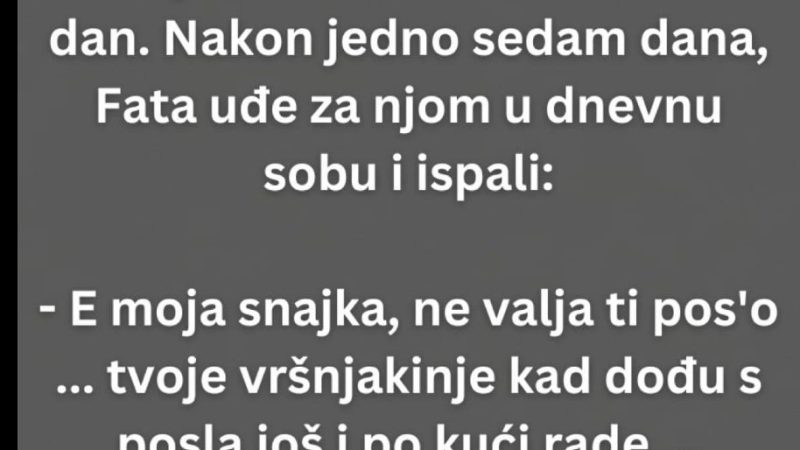 Fata sjedi kod kuće i dolazi snaha s posla