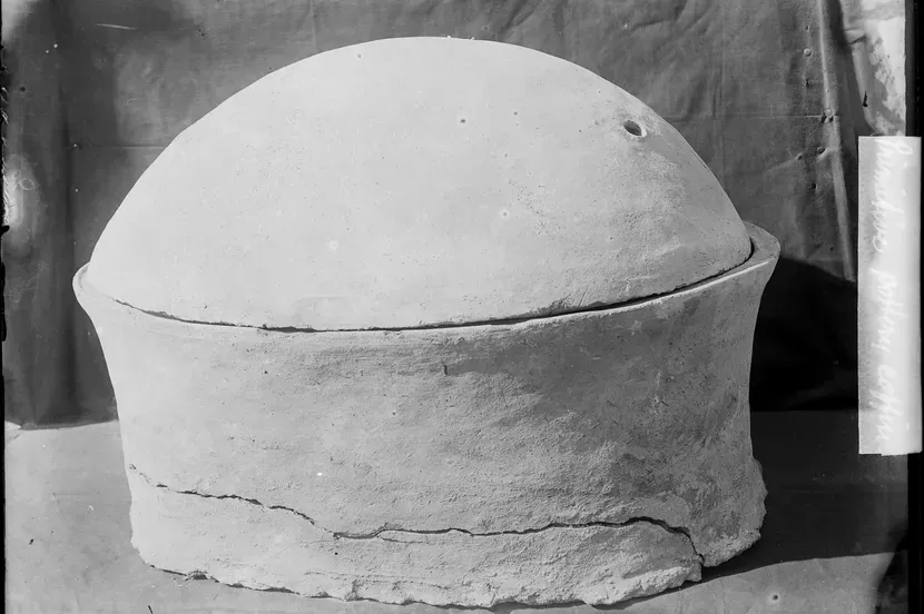 Izvučen DNK iz Starog Egipta star 4.800 godina